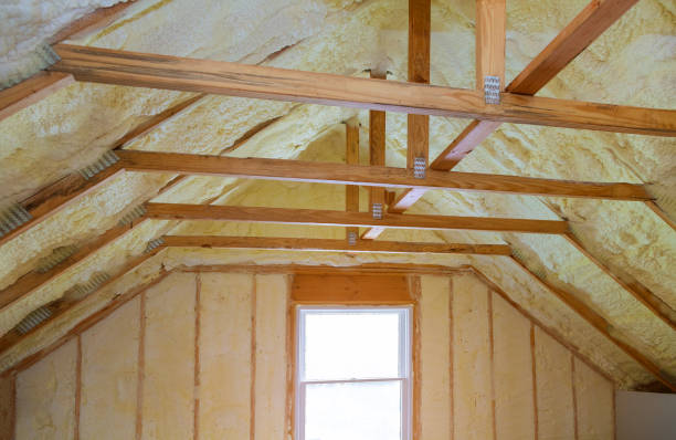 Best Insulation Inspection Services  in Linln Park, CO